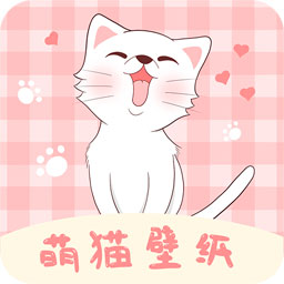 萌猫桌面壁纸–高清可爱猫咪图片