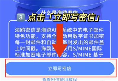 海鸥聊天–视频交友聊天软件 20260826164705_559427.png