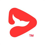 锦书在线APP–在线学习平台