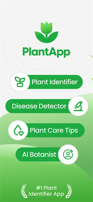 植物识别器–拍照识花 20260826235551_233350.jpg
