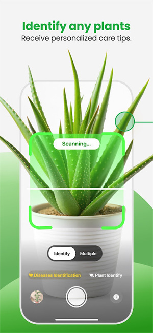 植物识别器–拍照识花 20260826235553_394150.jpg