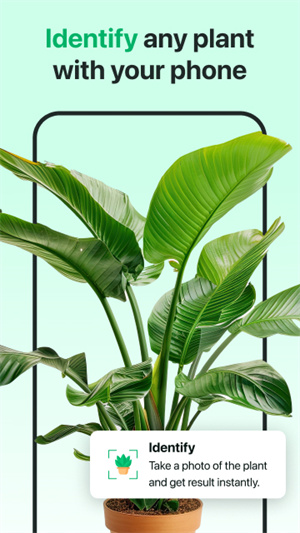 AI植物识别器–植物识别下载 20260826235636_230981.jpg