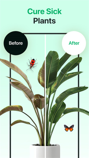 AI植物识别器–植物识别下载 20260826235637_159439.jpg