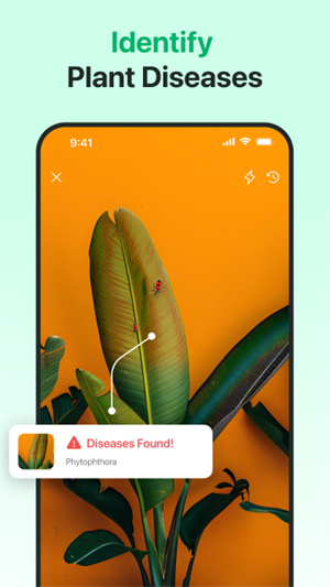 AI植物识别器–植物识别下载 20260826235637_955323.jpg