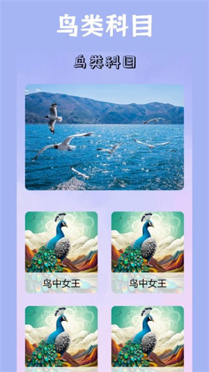 小鸟壁纸–手机壁纸下载 20260827081117_224875.jpg