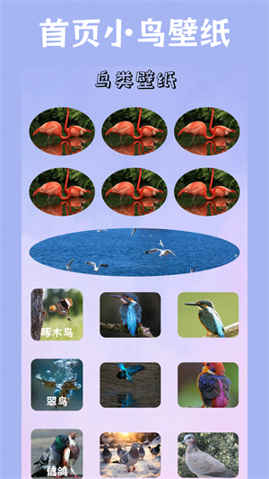 20260827081155_375296.png