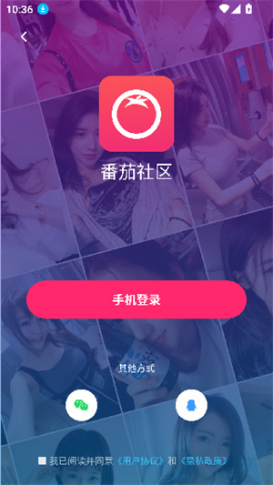 番茄社区app-社区服务下载 20260827181723_557477.jpg