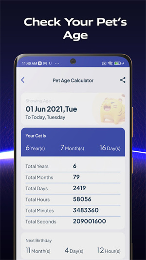年龄计算器–在线年龄计算 20260828015711_817637.jpg