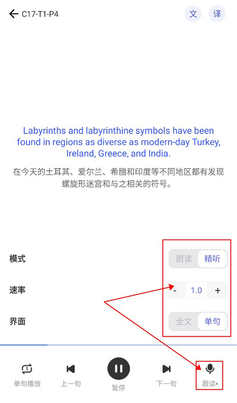 洋葱雅思app–雅思学习 20260828193833_908417.jpg