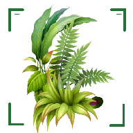 识万物扫一扫–拍照识图工具