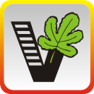 我要自学网app–在线学习平台