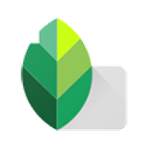 Snapseed–手机图片处理软件