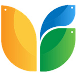 三只鸟云课堂–在线学习平台