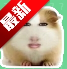 猪妞语音盒–趣味变声工具