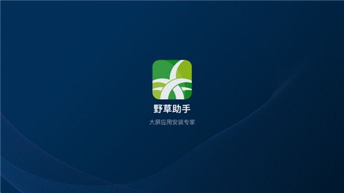野草助手apk–电视盒子软件下载 20260830151123_959254.jpg