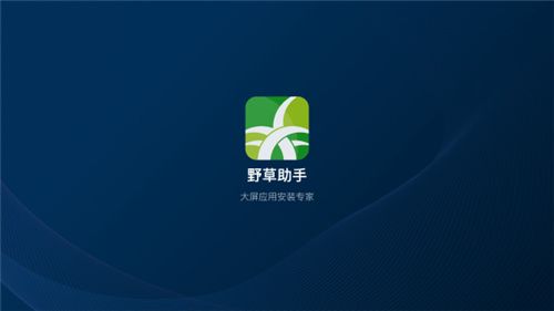 野草助手–最新版本下载 20260830151154_672478.jpg