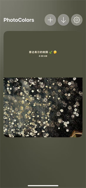 PhotoColors–图片取色 20260830151230_158154.jpg