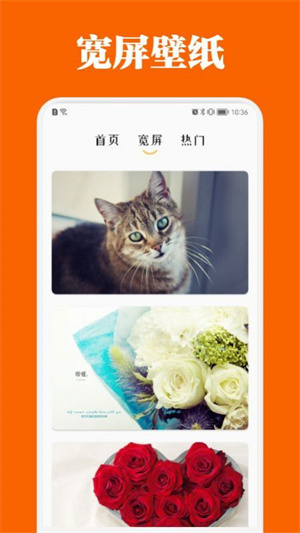 百变主题商店–手机主题下载 20260830161711_868605.jpg