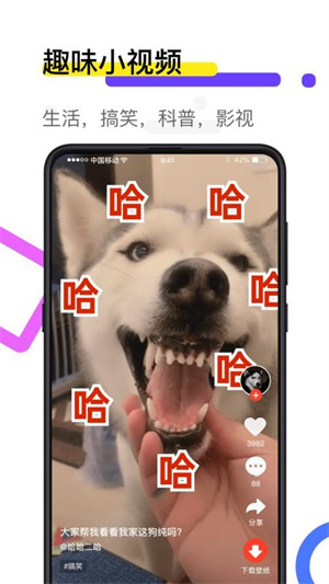 火萤视频壁纸–动态壁纸下载 20260830163810_346140.jpg