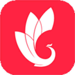 巅峰减重app–减肥健身