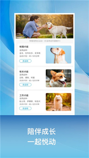 小兔乐跑 20260831151210_602266.jpg