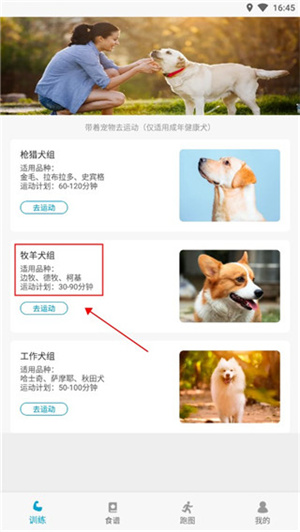 小兔乐跑 20260831151212_516049.jpg