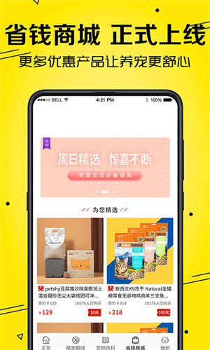 宠物交流平台 20260831151218_249548.jpg